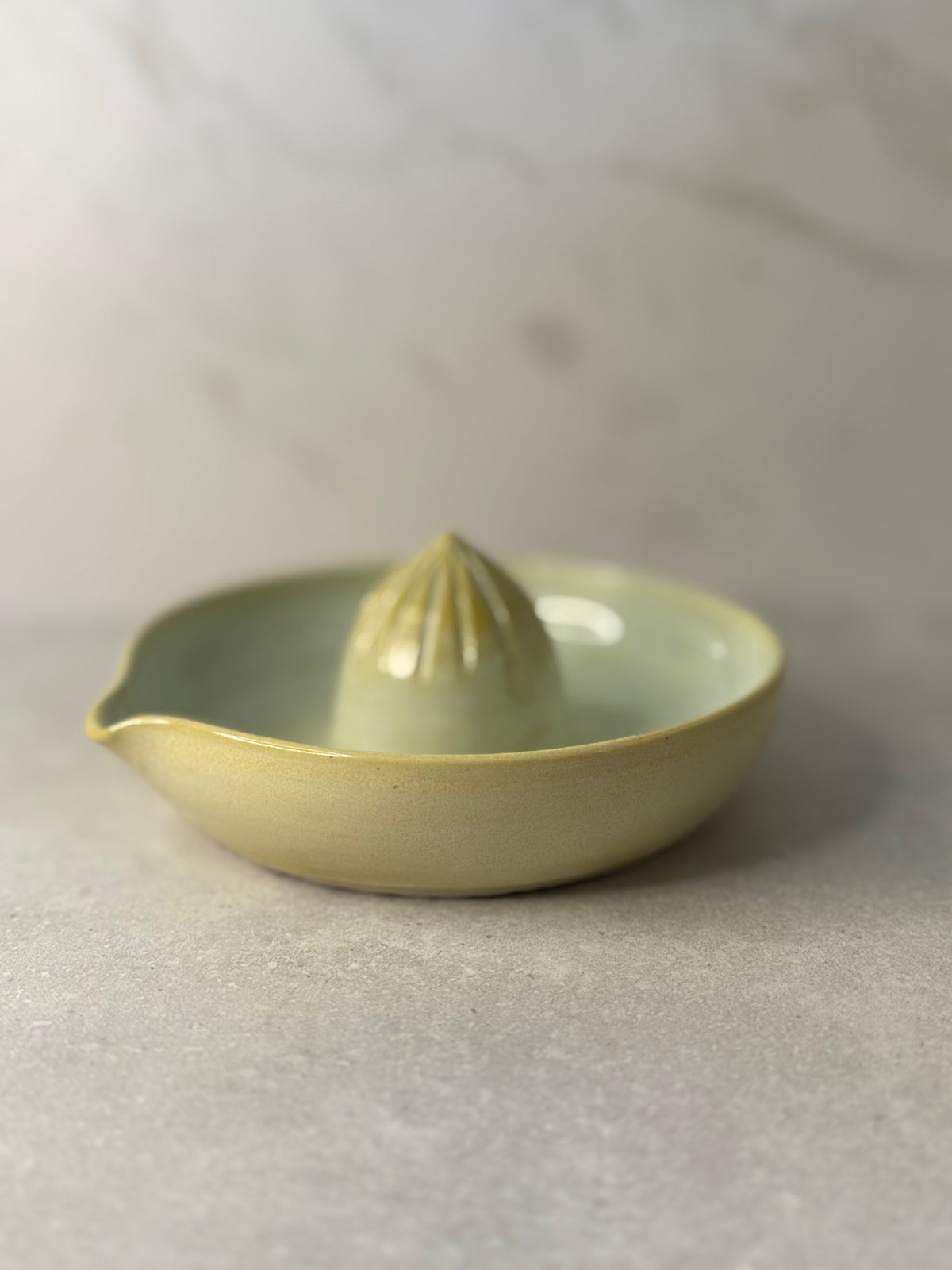 Citrus Juicer